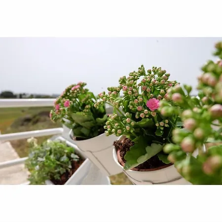 La Dimora Salento 4* 카로비그노